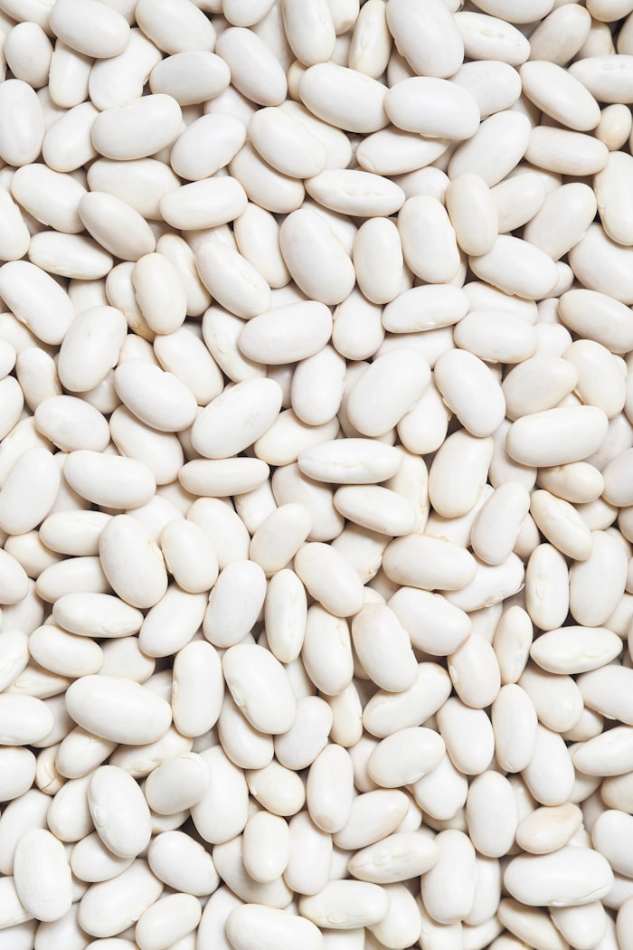 Haricots blancs