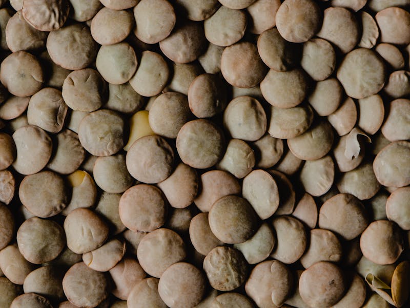 Lentilles