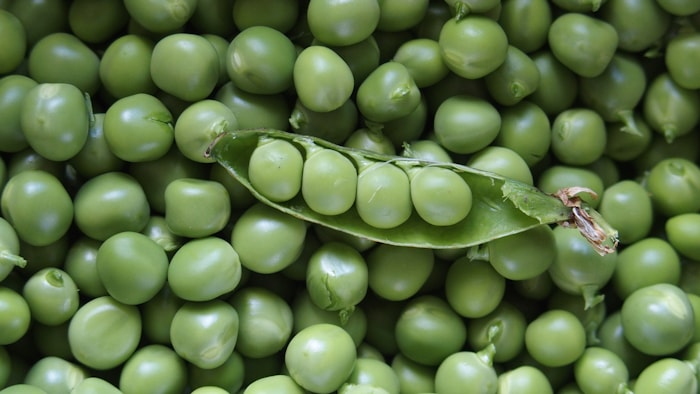 Petit pois